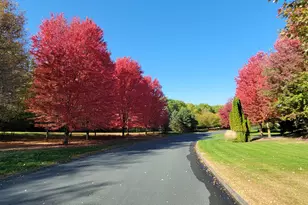 300 Lindsay Rd, Hudson, WI 54016 - Photo 71