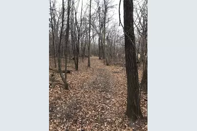 7243 Hazelwood Avenue, Northfield, MN 55057 - Photo 85