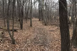 7243 Hazelwood Ave, Northfield, MN 55057 - Photo 85