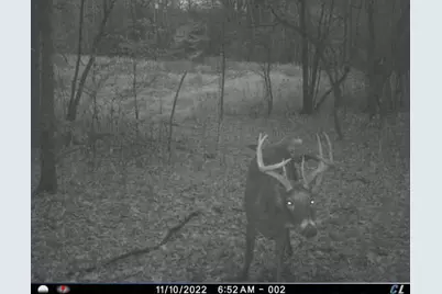 7243 Hazelwood Avenue, Northfield, MN 55057 - Photo 91