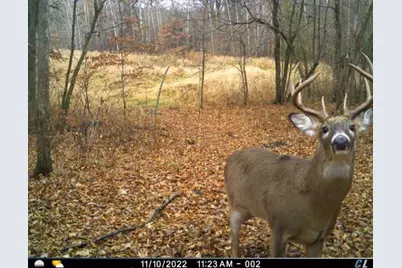 7243 Hazelwood Avenue, Northfield, MN 55057 - Photo 89