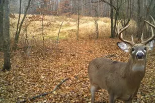 7243 Hazelwood Ave, Northfield, MN 55057 - Photo 89