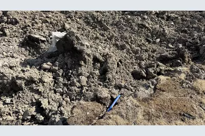 10131 Shadyview Lane N, Maple Grove, MN 55311 - Photo 7