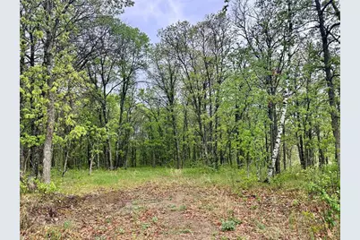 Tbd Lot 3 204th St, Park Rapids, MN 56470 - Photo 7