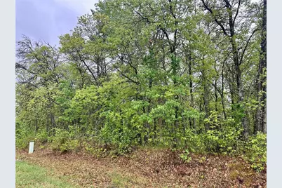 Tbd Lot 4 204th St, Park Rapids, MN 56470 - Photo 9