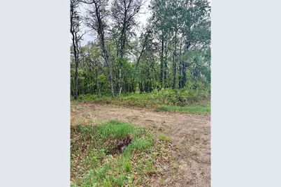 Tbd Lot 4 204th St, Park Rapids, MN 56470 - Photo 5