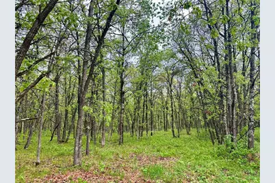 Tbd Lot 4 204th St, Park Rapids, MN 56470 - Photo 7