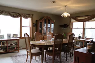 33198 540th Ave, Alberta, MN 56207 - Photo 45