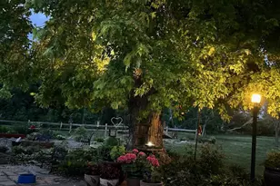 33198 540th Ave, Alberta, MN 56207 - Photo 71