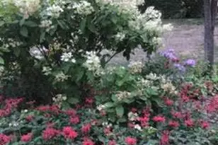 1901 Yorkshire Ave S, Hopkins, MN 55305 - Photo 39