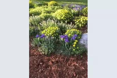 1901 Yorkshire Avenue S, Hopkins, MN 55305 - Photo 41