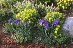 1901 Yorkshire Ave S, Hopkins, MN 55305 - Photo 41