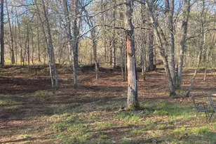 14523 Bistram Rd, Grantsburg, WI 54840 - Photo 11