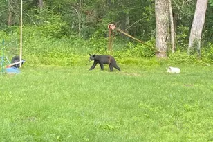 14523 Bistram Rd, Grantsburg, WI 54840 - Photo 7