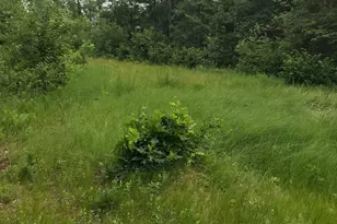 14523 Bistram Rd, Grantsburg, WI 54840 - Photo 23