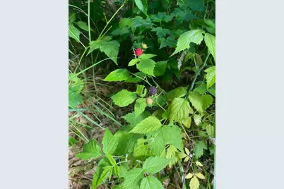 14523 Bistram Road, Grantsburg, WI 54840 - Photo 9