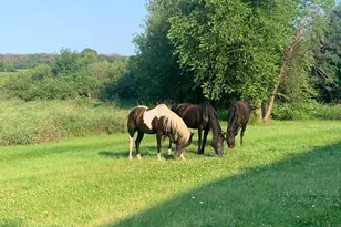 29776 Hayes Ave, Northfield, MN 55057 - Photo 19