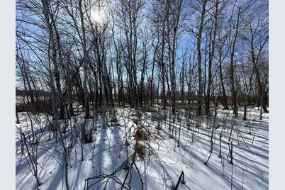 47691- 635th Avenue, Sebeka, MN 56477 - Photo 23