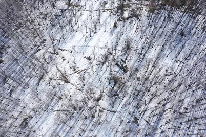 47691- 635th Avenue, Sebeka, MN 56477 - Photo 15