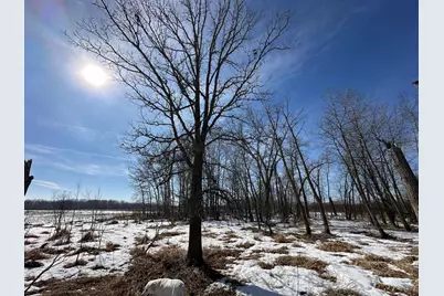 47691 635th Avenue, Sebeka, MN 56477 - Photo 47