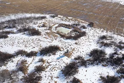 47691 635th Avenue, Sebeka, MN 56477 - Photo 7