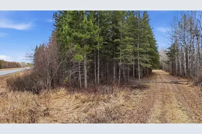 Tbd Town Road #55, Big Falls, MN 56627 - Photo 11