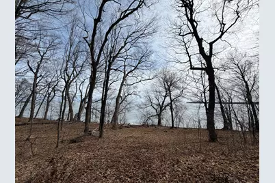 Lot 39&40 Earle Brown Drive, Garrison, MN 56450 - Photo 3