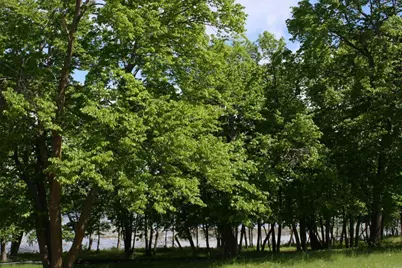 2156 Shady Lane, Detroit Lakes, MN 56501 - Photo 5