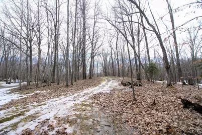 33456 Leisure Drive, Cushing, MN 56443 - Photo 7