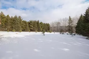 39332 Orchid Trail, Laporte, MN 56461 - Photo 33