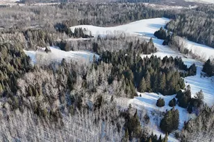 12905 Township Road D, Wawina, MN 55736 - Photo 1