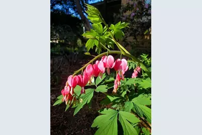 707 W Columbia Street, Chippewa Falls, WI 54729 - Photo 53