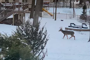 1905 Glendale Hills Dr NE, Rochester, MN 55906 - Photo 31