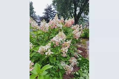 14790 Camero Lane, Rosemount, MN 55068 - Photo 7