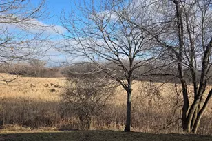 13932 Erwin Ct, Eden Prairie, MN 55344 - Photo 5