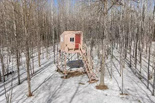 3495 Deer Forest Rd, Makinen, MN 55763 - Photo 59