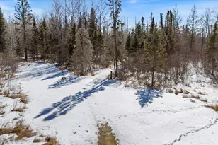 3495 Deer Forest Rd, Makinen, MN 55763 - Photo 53