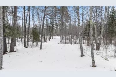 Tbd Voyageurs Trail, Biwabik, MN 55705 - Photo 9