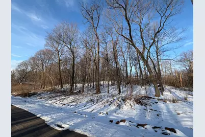 Lots 120 & 121 Earle Brown Drive, Garrison, MN 56450 - Photo 3