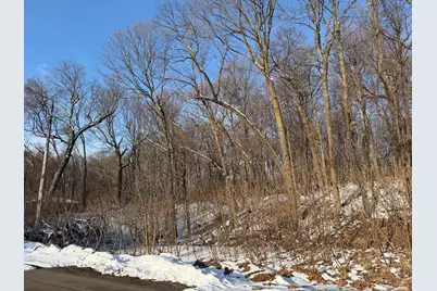 Lots 119 Earle Brown Drive, Garrison, MN 56450 - Photo 3