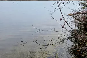 40749 Co Rd 612, Nashwauk, MN 55769 - Photo 13