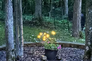 2808 28 7/16 St, Birchwood, WI 54817 - Photo 29