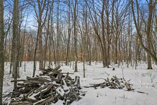 51132 340th St, New York Mills, MN 56567 - Photo 53