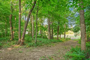 51132 340th St, New York Mills, MN 56567 - Photo 51