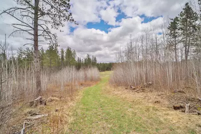 Tbd 65th Avenue SW, Motley, MN 56466 - Photo 3
