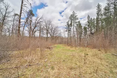 Tbd 65th Avenue SW, Motley, MN 56466 - Photo 5