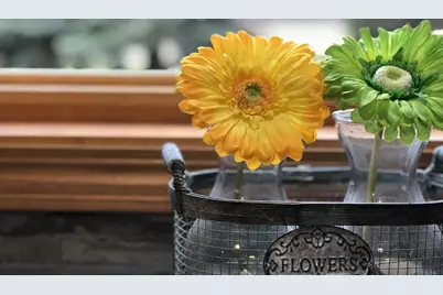 21335 Halstad Lake Road, Detroit Lakes, MN 56501 - Photo 31