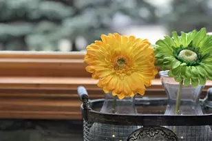 21335 Halstad Lake Rd, Detroit Lakes, MN 56501 - Photo 31