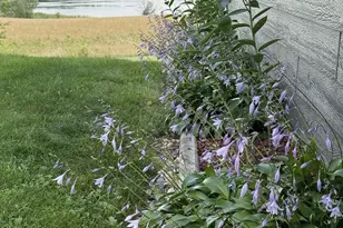 21335 Halstad Lake Rd, Detroit Lakes, MN 56501 - Photo 47