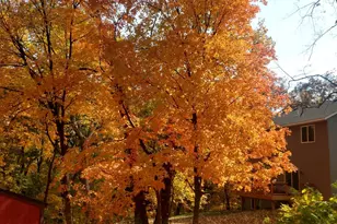 1305 Spruce Pl, Mound, MN 55364 - Photo 43